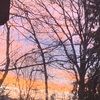 danigarcmar123